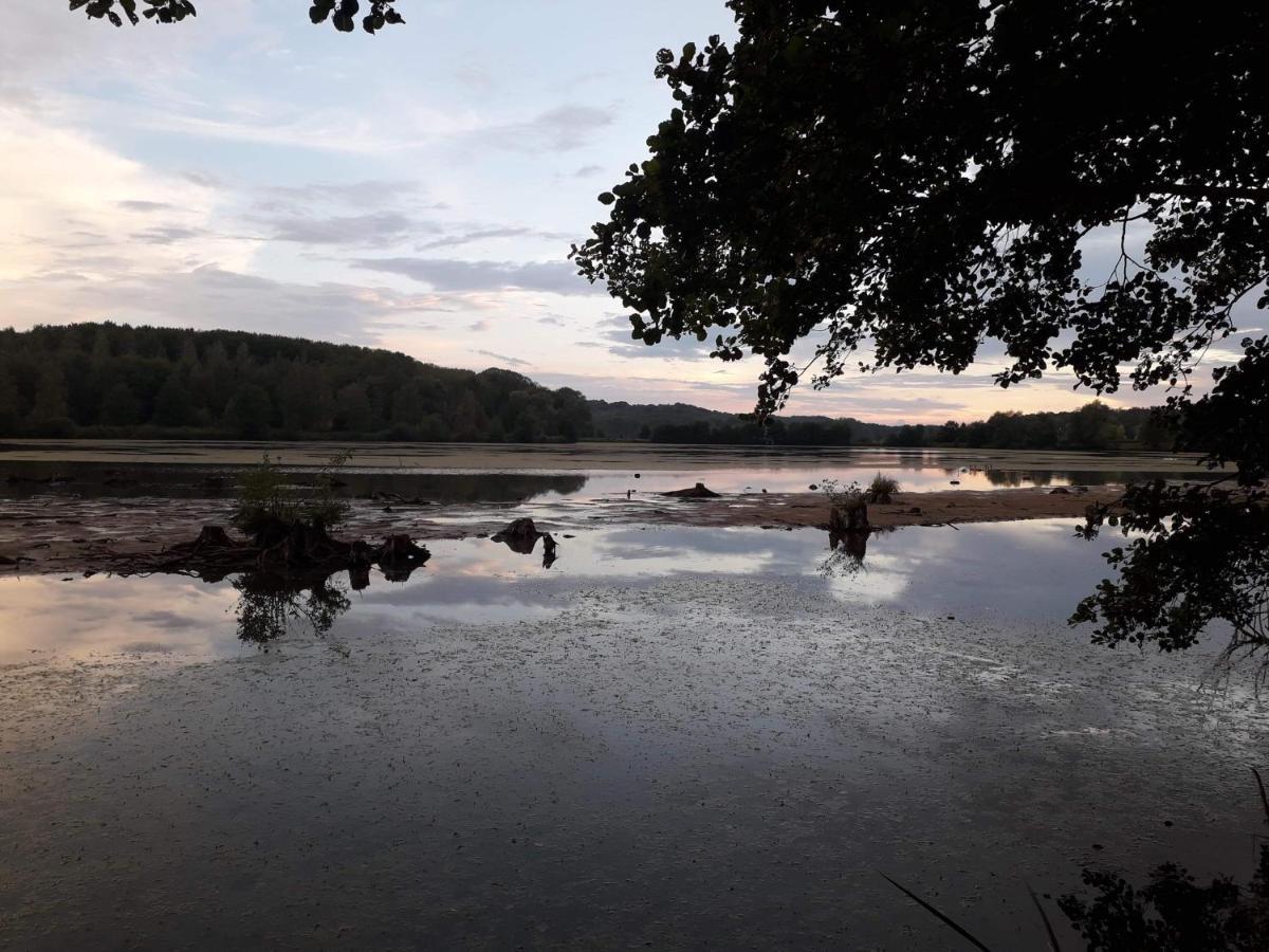 La Maison Du Colombophile Neuville-sur-Ailette Eksteriør billede